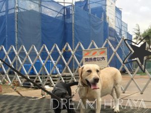 ◆積水ハウス理想の平屋ができるまでの流れ！内装・外装・インテリアの打ち合わせ編！◆