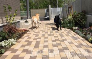 ◆「DREAM HIRAYA おしゃれな平屋とシンプルインテリア」のブログを始めます！◆