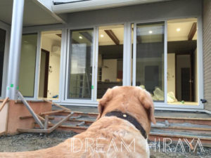 ◆《Web内覧会》引き渡し前内覧会！着工７３日目！ついに理想の平屋が完成！？工事完了予定日！◆